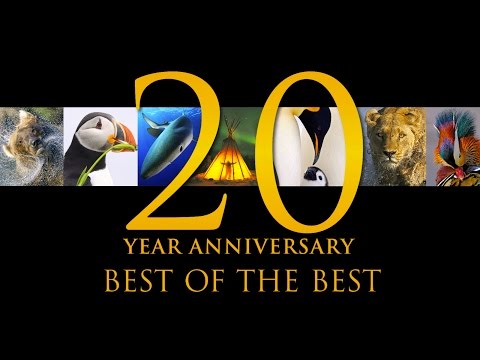 poster for Best of the Best: 20 Years of Nature&#39;s Best Photography