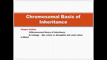 Chromosomal Basis of Inheritance for 12th Biology-Botany TN Syllabus Chapter-3 part-1 in English