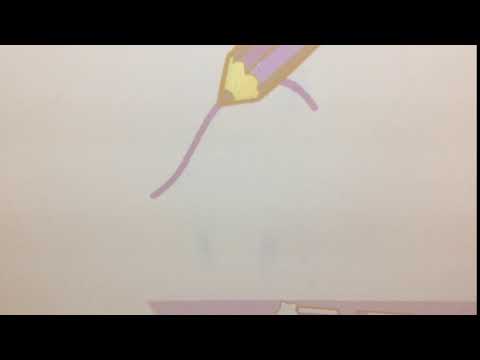 c letter formation