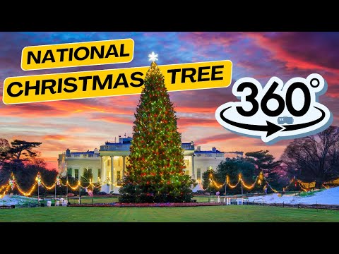 Video: Ang Mga Tindahan sa National Place sa Washington, D.C