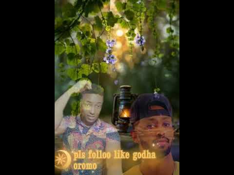 Walaloo Gabaabdu Jiruun Natti Ulfaatte Nati Taatus Tabba