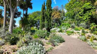 [4K] Regents Park | London Walking Tour