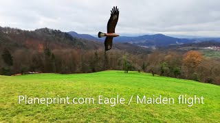3D planeprint.com Eagle maiden flight - Slope soaring