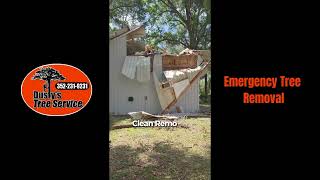 Emergency Tree Removal: Removing a Storm-Damaged Limb from a Shop in Ocala, FL