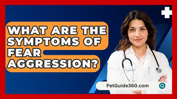 What Are The Symptoms Of Fear Aggression? - PetGuide360.com