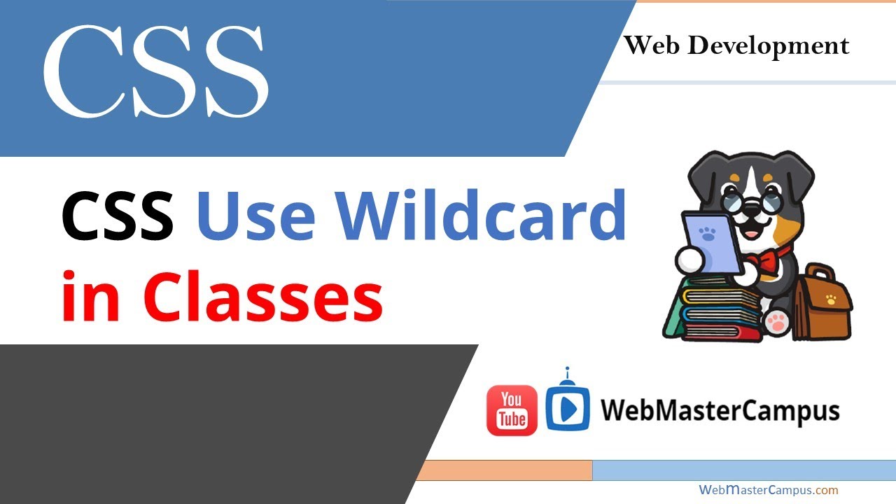 Wildcard Class Css