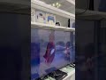 Marvel’s SpiderMan 2 không chỉ là một game siêu anh hùng