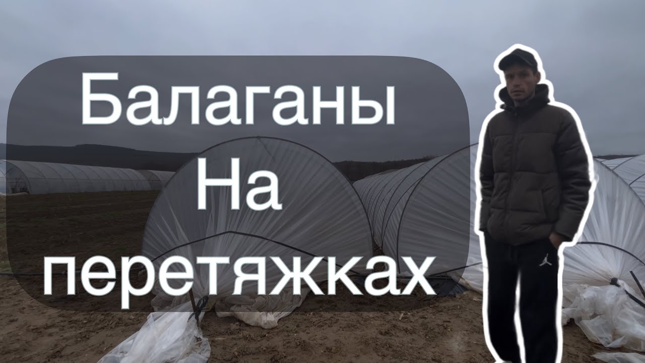 Самые ПРОСТЫЕ И ДЕШЕВЫЕ балаганы для клубники