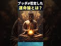 【ブッダの教え】運命なんてない！未来は今のあなたが決める！ #ブッダの教え #モチベーション #潜在意識 #名言 #スピリチュアル #shorts