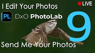 Photo editing LIVE with DxO Photolab 9.6 - Send me your photos!