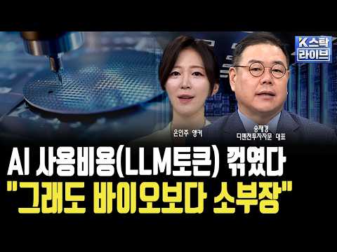 AI 사용비용(LLM토큰) 꺾였다 "그래도 바이오보다 소부장"..FOMC 매파에 대비하라ㅣ송재경 디멘젼투자자문 대표