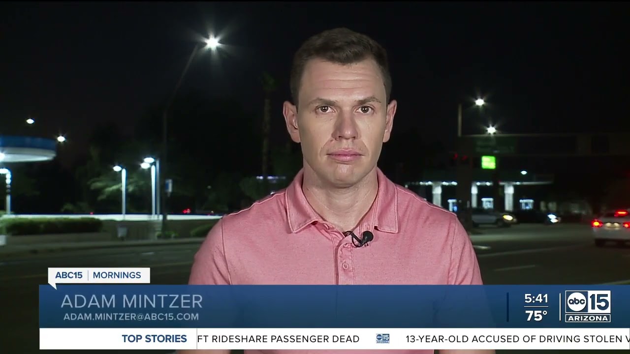 Tempe forms new animal welfare subcommittee to address community concerns