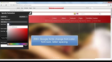 Eclipse - Skin Customizer Intro - DotNetNuke Skin - SpeedyApplication.com