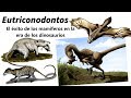 Eutriconodontos: los mamíferos que convivieron con los dinosaurios