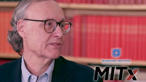 Science of Learning: Interview with John Gabrieli