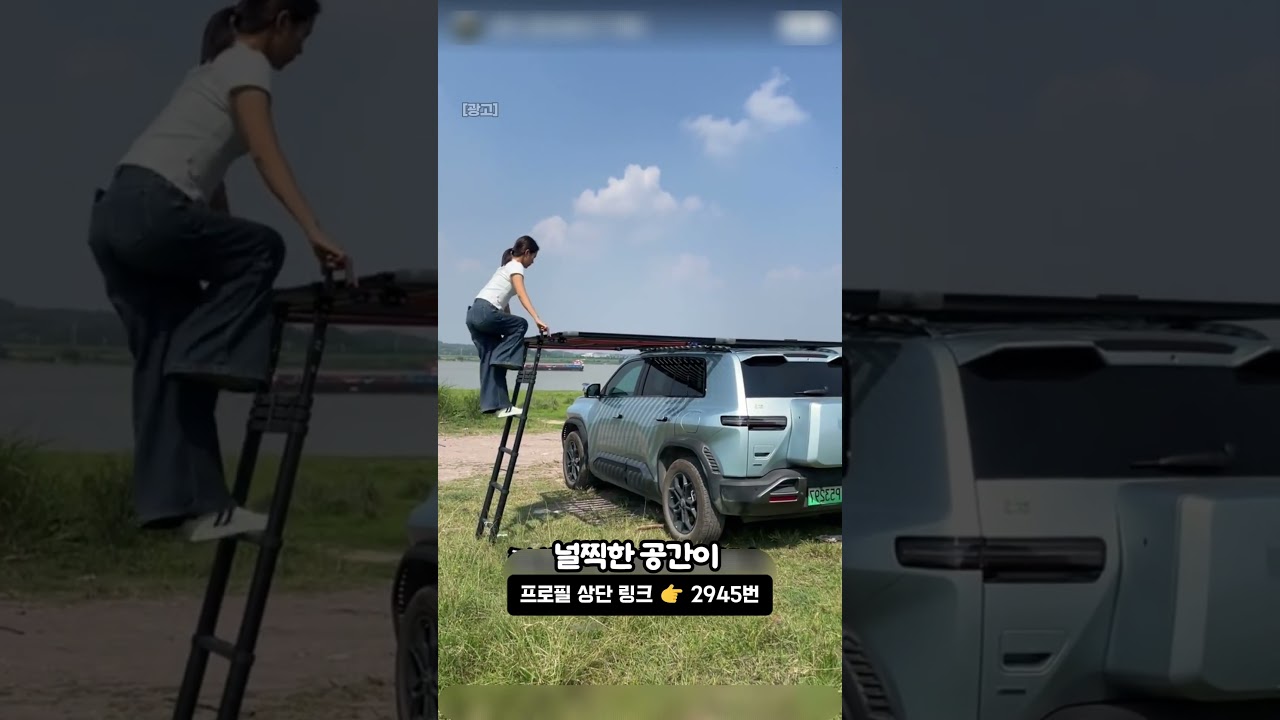 트렁크가 부족하면 지붕까지 쓰면 됩니다