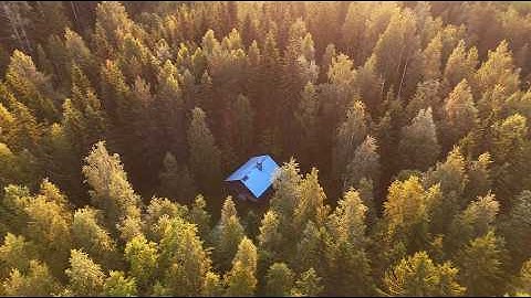 They Said I’d Last 1 Week,  One Year Later I’m Rebuilding My Off-Grid Log Cabin in Finland