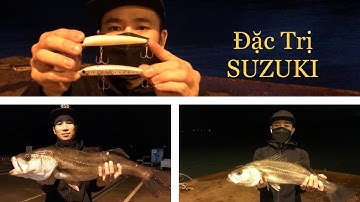 Câu Cá SUZUKI-スズキ-SEABASS. Một Chut Kiến Thức Cơ Bản Cho Anh Em Đam Mê Câu Cá Suzuki Ở Nhật Bản.