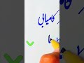 99% لوگ "کامیابی" اور "ٹیکس" کو غلط لکھتے ہیں 😱 | Urdu Calligraphy Masterpiece