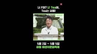 힐링축제 #하동야생차문화축제 l 5월 2일 ~ 5월 5일까지! #shorts