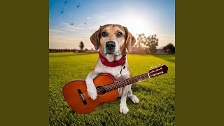 Comfort Pet Strums