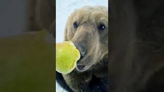 Armudun İyi̇si̇ni̇ Ki̇m Yer