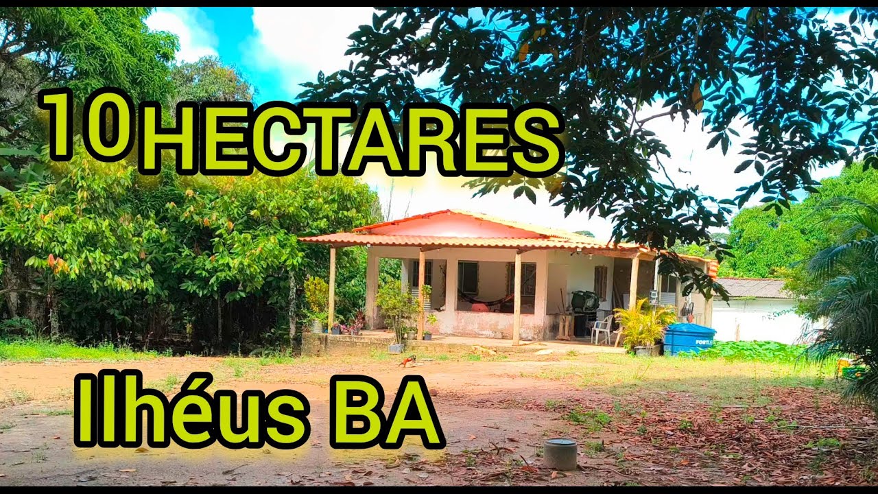 VENDIDA/CHÁCARA A VENDA EM ILHÉUS BA 10 HECTARES COM 2 CASAS E MUITA ÁREA PARA PLANTIO #sítiosavenda