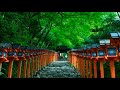 WATARUSONG/うすぎぬ物語(伊藤敏博&木曽みのる)完全版