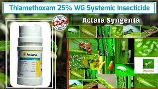 Thiamethoxam 25% WG | Actara Syngenta | Systemic insecticide Insecticide | कीटनाशक