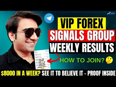 Best Forex Signals provider 2022 | TWS VIP Signals group weekly results revealed