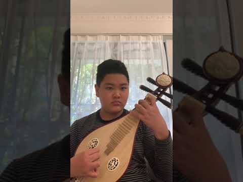 周正昊 柳琴 《三六》
