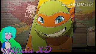 PMV~TMNT