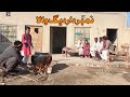 Daig wala number daar  rocket  preeto mukho  new top funny  punjabi comedy  chal tv