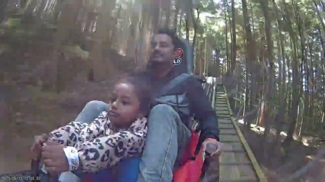 Forest Coasters (Adventure Ride)North Wales 