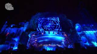 Tomorrowland 2013 - Avicii