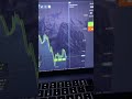 Make Profit so EASY! Trading with Market Delays on Pocket Option
