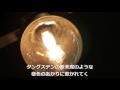 Bulb Prohibition ～禁球法時代～【結月ゆかりオリジナル曲】