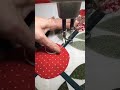 Using Kelly Cline Notched Rulers Around Applique