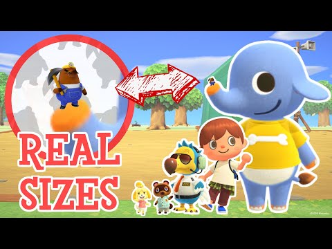 ANIMAL CROSSING Realistic Size Comparison