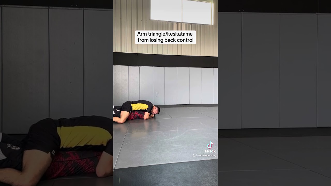 Arm Triangle/Keskatame from Back Control Escape