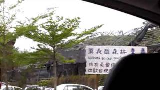980329安妮公主花園  VIII