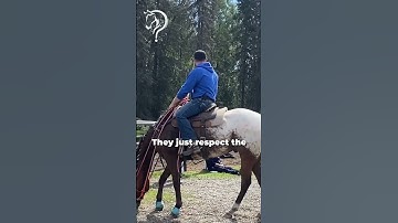 Working With A Horse That