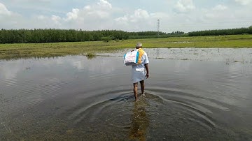 Water logging in the agriculture land