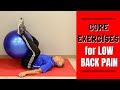 BEST Abdominal Core Exercises to Do with Low Back Pain