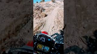 XR 650L Single Track #xr650l #dirtbike #singletrack
