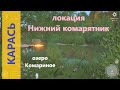 Русская рыбалка 4 - озеро Комариное - Карась золотой в комарятнике