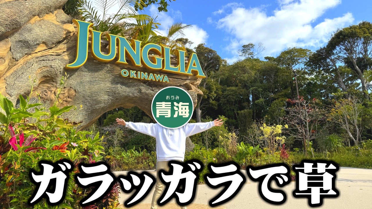 It's been six months since Junglia opened, so now you can enjoy it