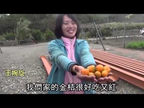 放棄空姐夢 正妹拾鋤頭拼有機--蘋果日報 20150116