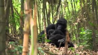 Celebrity Epic Adventures with host Danielle DiLorenzo Profile