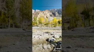 VID 20201030 WA0011